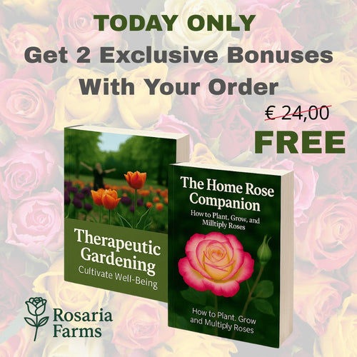 Therapeutic Gardening + The Home Rose Companion